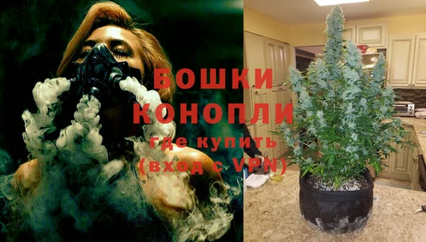 бошки Верея