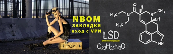 крисы Надым