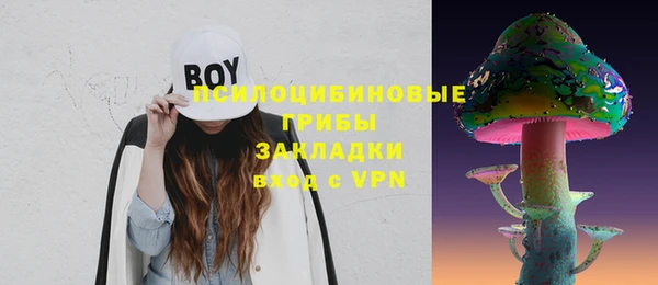 бошки Верея