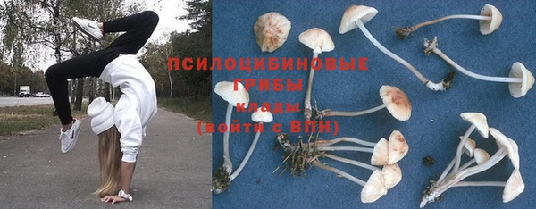 бошки Верея