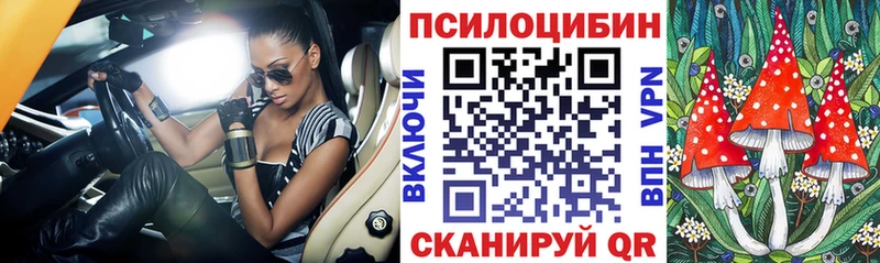 Псилоцибиновые грибы Psilocybe купить закладку блэк спрут ссылки даркнет состав Катав-Ивановск